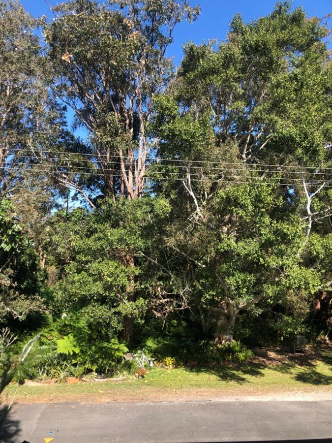 Brunswick Heads Treetop Studio Apartment Екстериор снимка